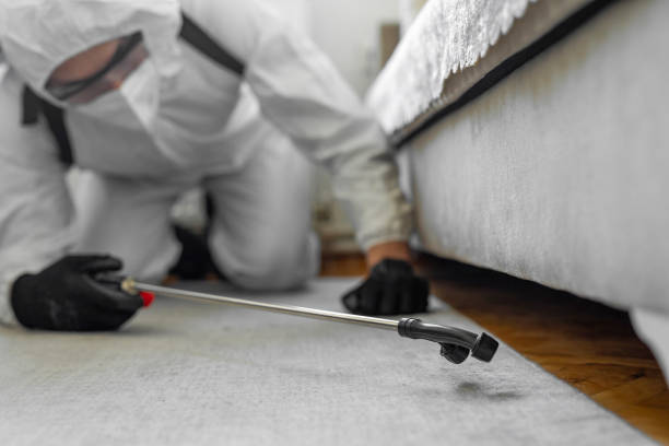Professional Mosquito Control technician working in South Valley, NM