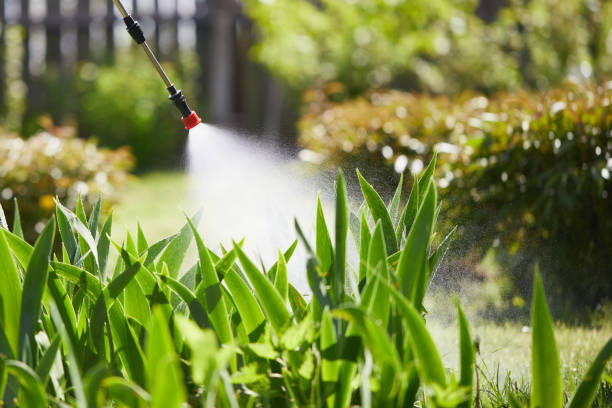 24/7 Emergency Mosquito Control experts in South Valley, NM