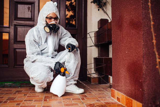 Reliable Mosquito Control contractor in South Valley, NM by Nex Pest Control