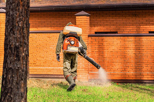 Trusted Cockroach Control service in South Valley, NM - Nex Pest Control